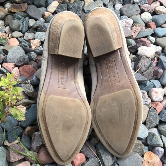 🍄 Frye & Co Ash Suede Ankle Bootie - Picture 7 of 14